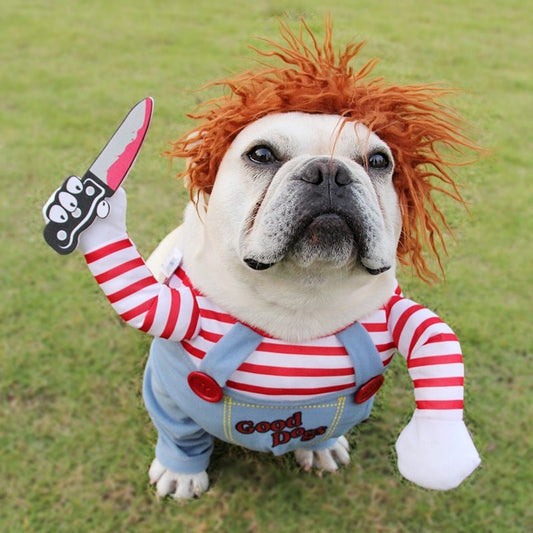 Funny Halloween Costume for smaller Dog