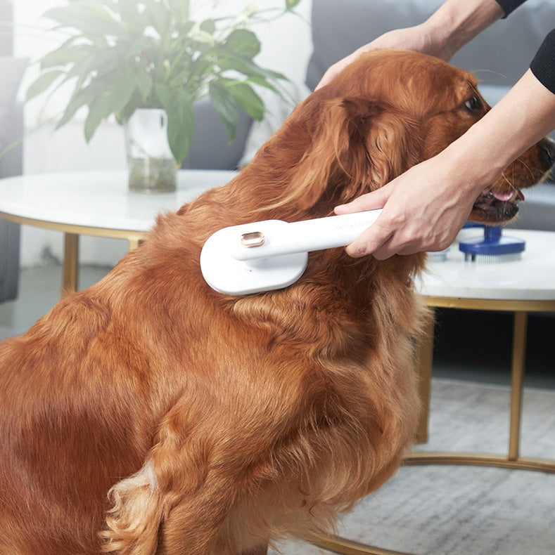 Stylish Pet Brush and Hair Remover