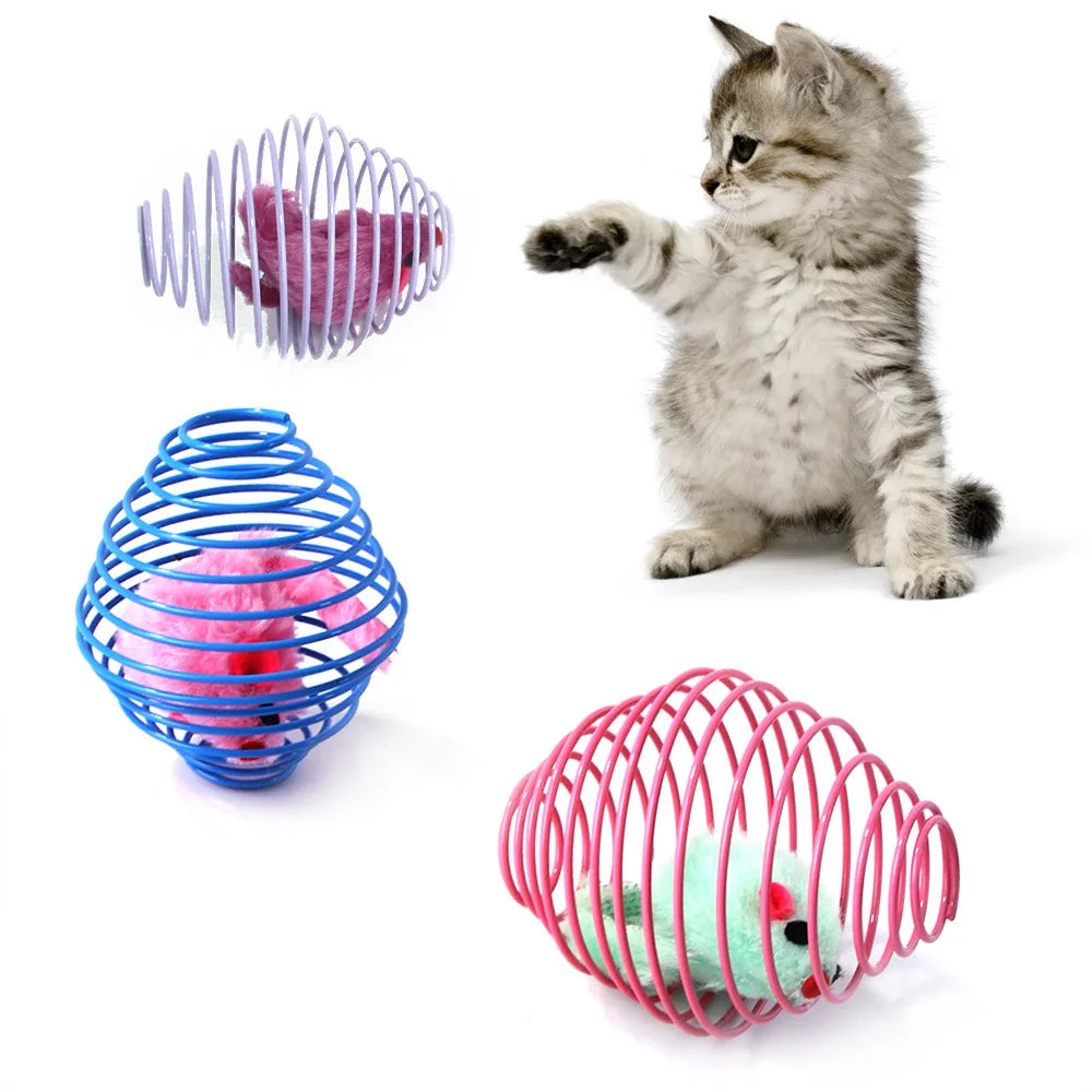 Spring Cat Toy