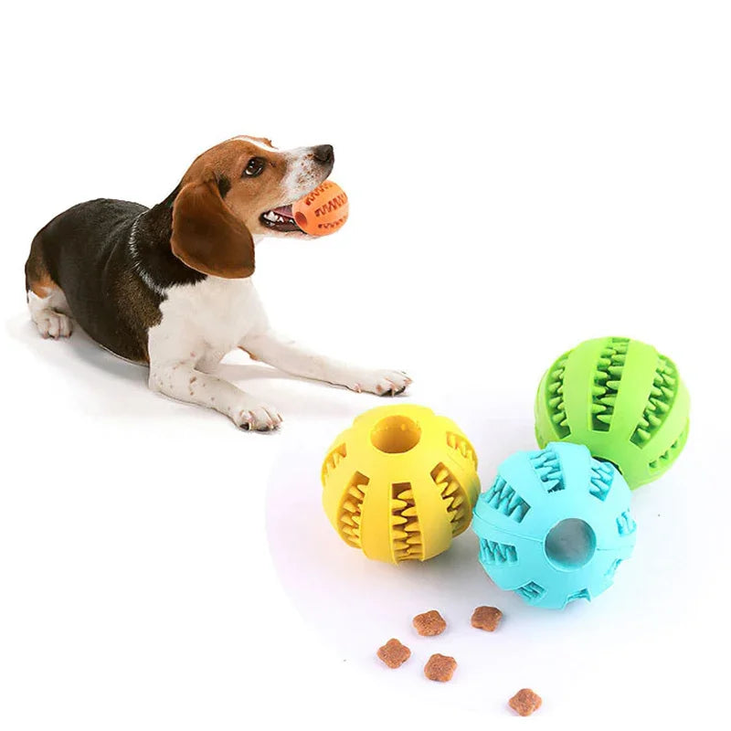 Fun Chew Ball for Dogs