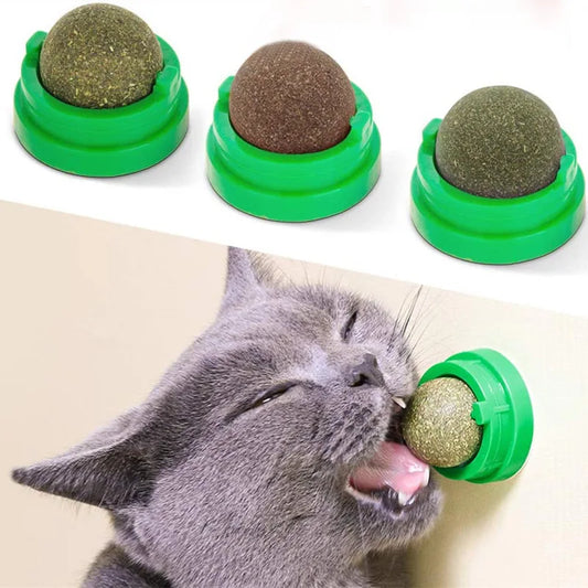 Catnip Wall-Ball