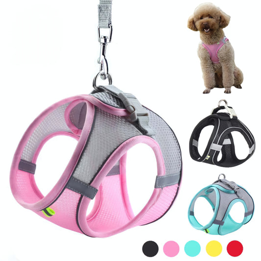 Harness Vest for Small Dogs or Cats