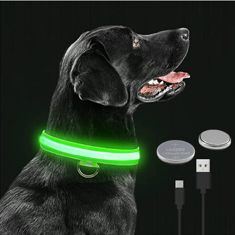 LED Dog Collar - Pawfect Pet