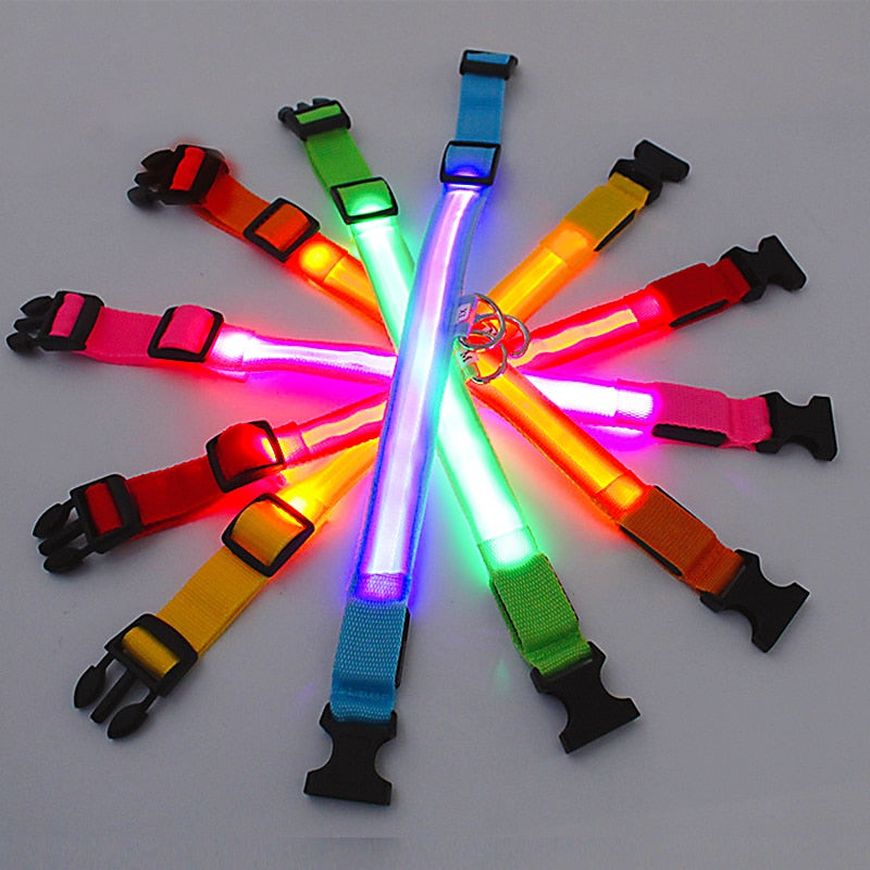 LED Dog Collar - Pawfect Pet