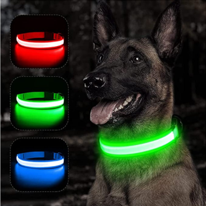 LED Dog Collar - Pawfect Pet